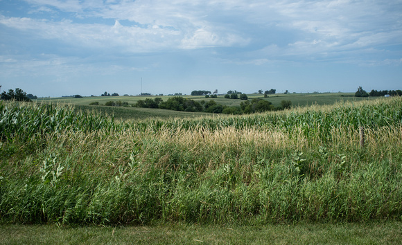 Illinois Landscape